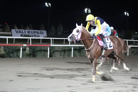 GÖKTEKİNOĞLU