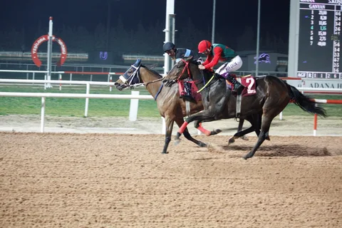 HAYALET KIZ(3) (USA)
