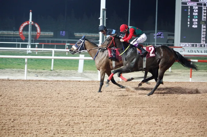 HAYALET KIZ(3) (USA) HAYALET KIZ(3) (USA)