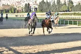 JUNIOR ÇINAR