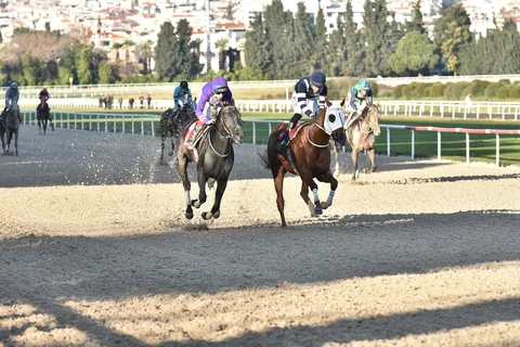 JUNIOR ÇINAR JUNIOR ÇINAR