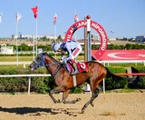 KÖKLÜ XALO