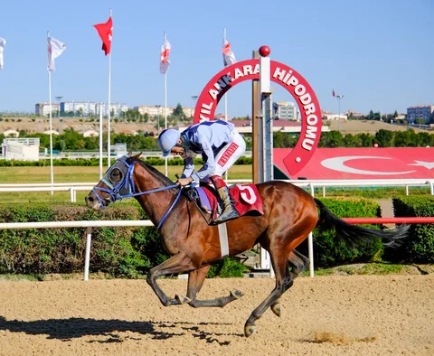 KÖKLÜ XALO