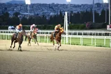 MAHAKALİ