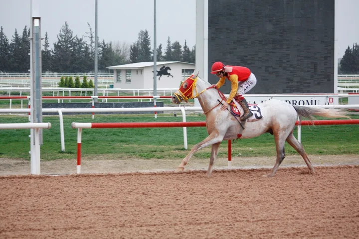 MAHZUNKRAL MAHZUNKRAL