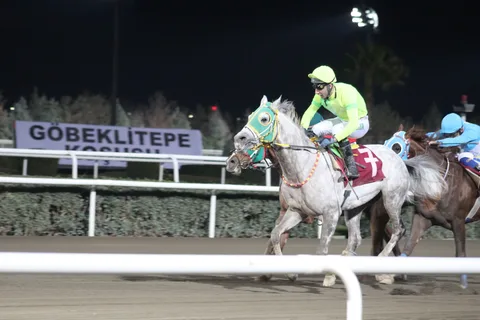 MUSTİCAN MUSTİCAN