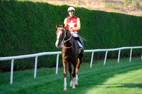OĞLUMSUN OĞLUMSUN