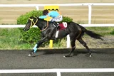 SULTANS SPIRIT