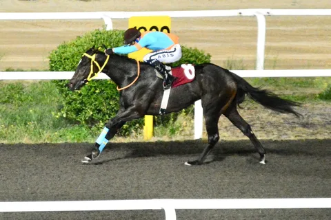SULTANS SPIRIT