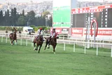 AKTAŞKAYA AKTAŞKAYA