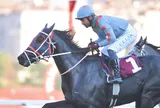 ASMAR DUBAI