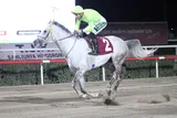 DÖRTNALBEYİ