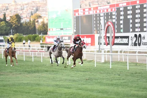 KAŞIKÇIBEYİ KAŞIKÇIBEYİ
