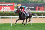 KIRSEVİL