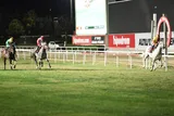 NOBLE RUNNER