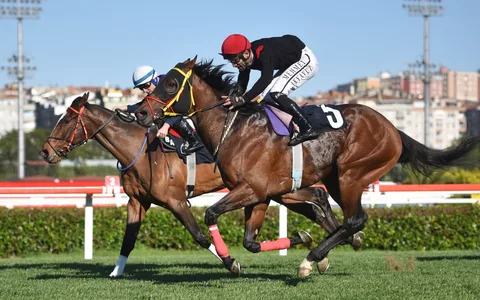 ABDÜL ABDÜL