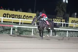 BARBAR ÇAKAL BARBAR ÇAKAL