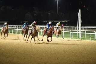 DRAGON PULSE (IRE)