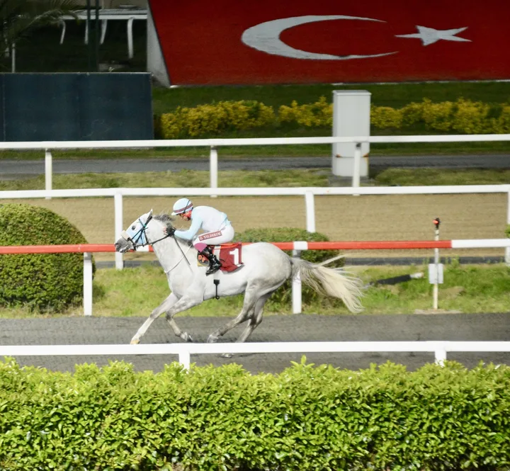 ERAYKAN ERAYKAN