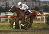 GİRDABIN OĞLU