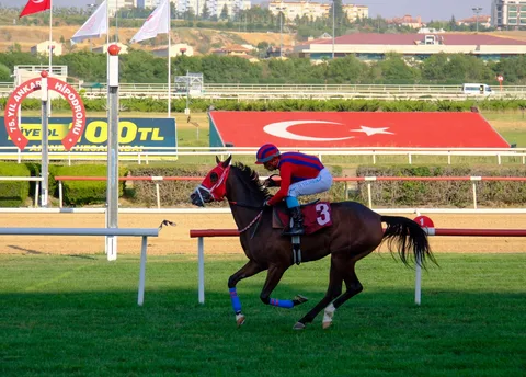 HADİ BAKALIM HADİ BAKALIM