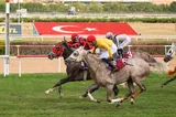 KANATLI OĞLU KANATLI OĞLU