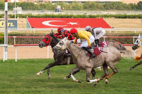KANATLI OĞLU KANATLI OĞLU