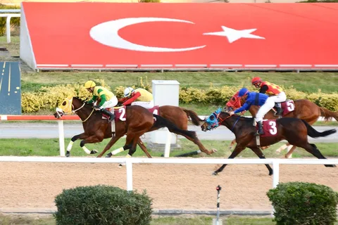 KIZILCAHAMAM BEYİ KIZILCAHAMAM BEYİ