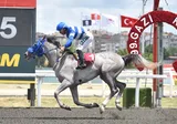 KRAL SULTAN