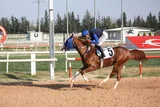 KUZGUN BEY