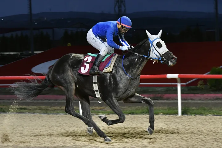LİVZARA LİVZARA