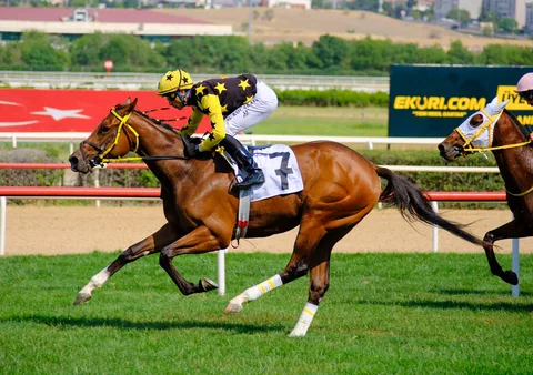 LOCO SUGAR(7) (IRE)
