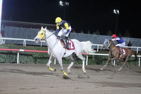 ZEKAİBEY ZEKAİBEY