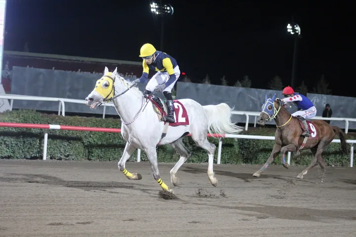 ZEKAİBEY ZEKAİBEY