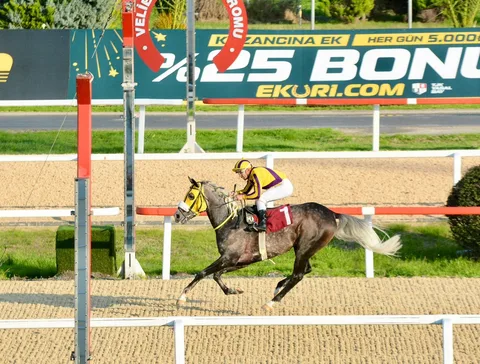 AK FİLOZOF