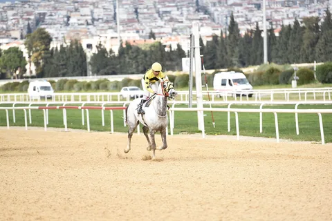 BEYAZIŞIK