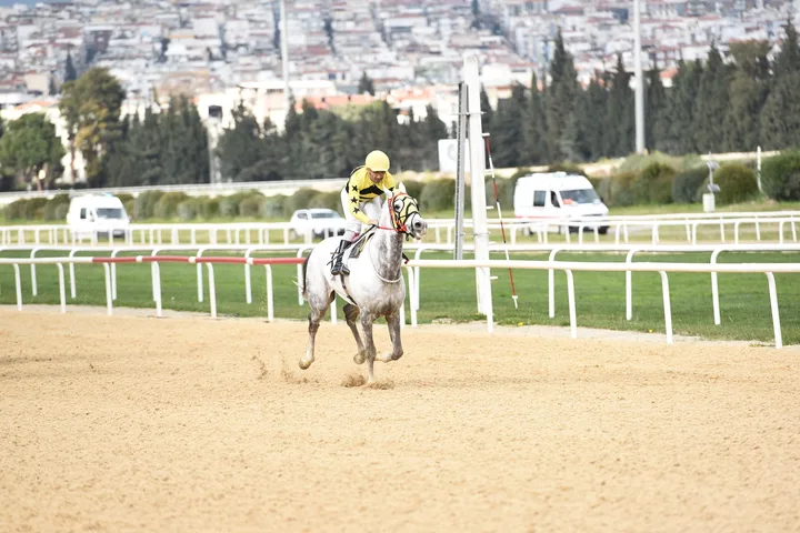 BEYAZIŞIK BEYAZIŞIK