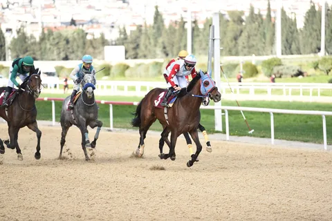 BRAVE CHAMPİON BRAVE CHAMPİON