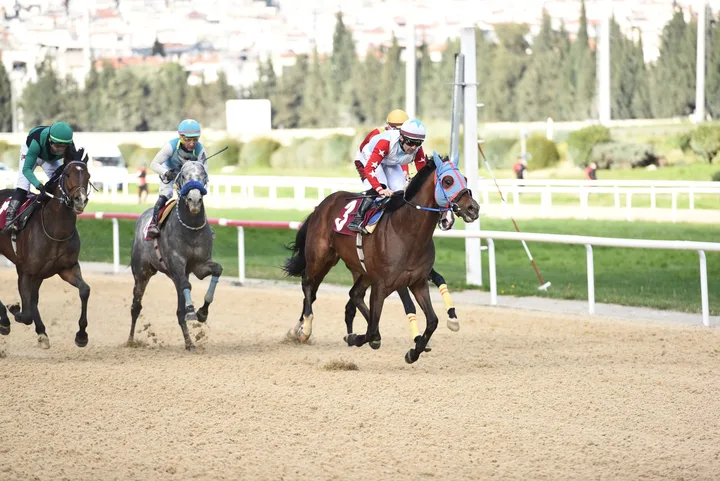 BRAVE CHAMPİON BRAVE CHAMPİON