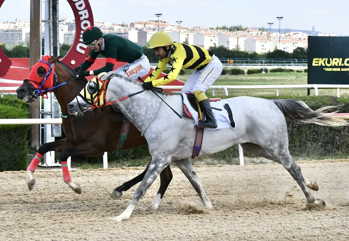 HULKİ HULKİ