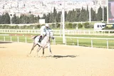 İLKERHAN