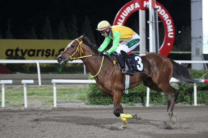 KING FERİT KING FERİT